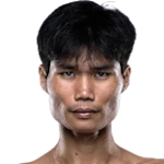 Ngoc Phu Nguyen